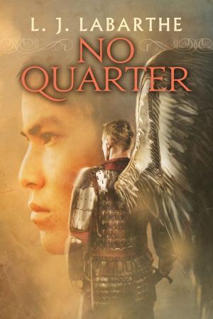 Cover of the book No Quarter by Sue Brown