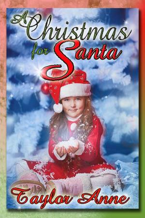 Cover of the book A Christmas for Santa by Joan Foley Baier
