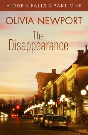 Cover of the book Hidden Falls: The Disappearance - Part 1 by Wanda E. Brunstetter, Jean Brunstetter