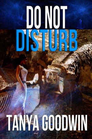 bigCover of the book Do Not Disturb by 