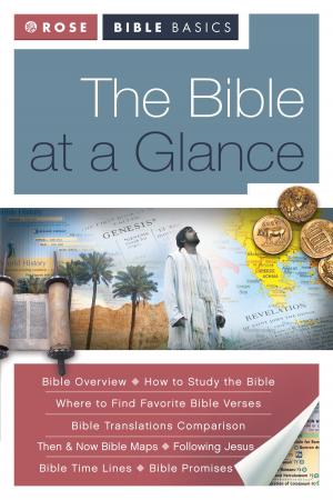 Book cover of The Bible at a Glance