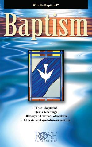 Cover of the book Baptism by Gregory L. Jantz