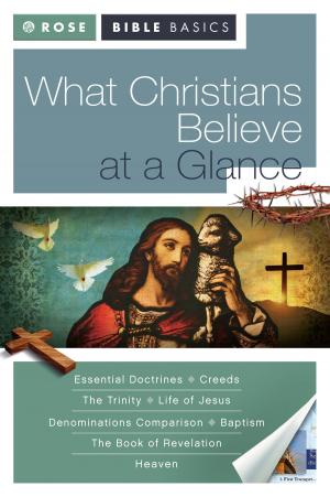 Cover of the book What Christians Believe at a Glance by John Trent