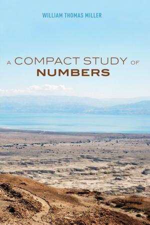 Cover of the book A Compact Study of Numbers by Eric Faye