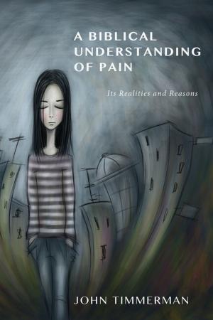 Cover of the book A Biblical Understanding of Pain by B. J. Oropeza