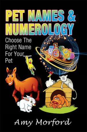 Cover of the book Pet Names and Numerology by Stacy Milescu
