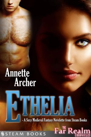 Cover of Ethelia - A Sexy Medieval Fantasy Novelette from Steam Books
