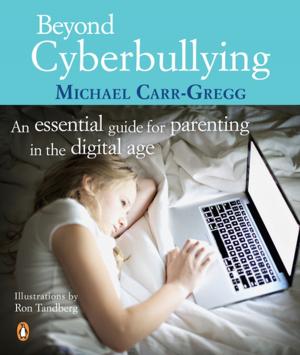 Book cover of Beyond Cyberbullying