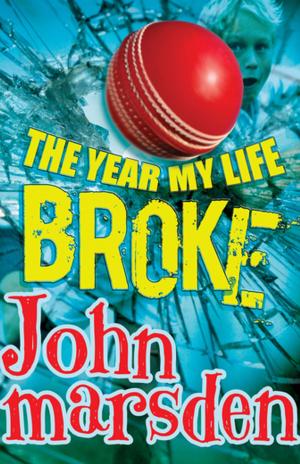 Cover of The Year My Life Broke