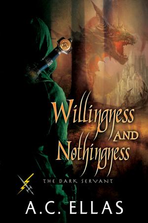 Cover of the book Willingness and Nothingness by Emily Elizabeth Varner