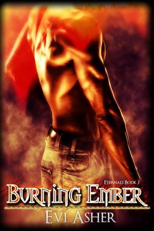 Cover of the book Burning Ember by Viola Grace