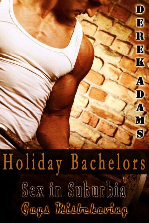 Cover of the book Holiday Bachelors by H.K. Carlton