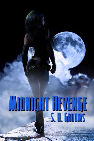 Cover of the book Midnight Revenge by CS Morgan