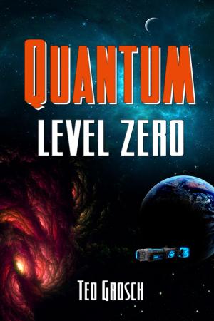 Cover of the book Quantum Level Zero by Terry Lloyd Vinson