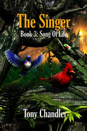 Cover of the book The Singer by Justine Graykin