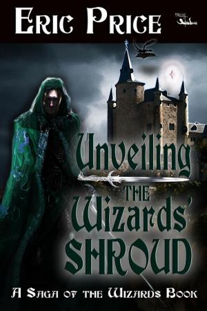 bigCover of the book Unveiling the Wizards' Shroud by 