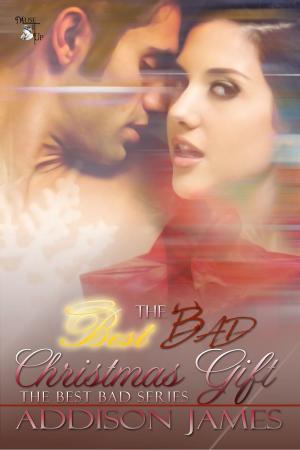 Cover of the book The Best Bad Christmas Gift by Molly McLain