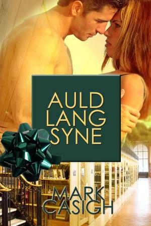 Cover of the book Auld Lang Syne by N.W. Harris, Margaret Fieland, Christina Weigand, Erin Callahan, Troy H. Gardner