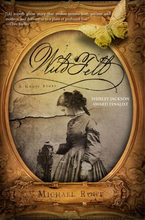 Cover of the book Wild Fell by Daniel A. Rabuzzi