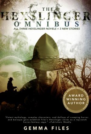 Cover of the book The Hexslinger Omnibus by Paula Cappa