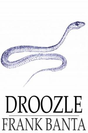 Book cover of Droozle
