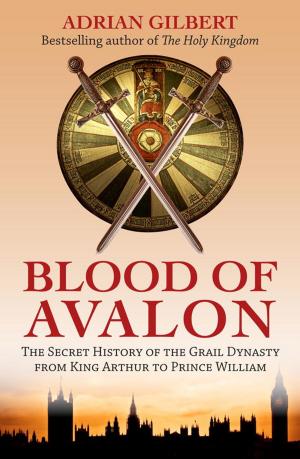 Cover of the book The Blood of Avalon by Megan E. O'Keefe