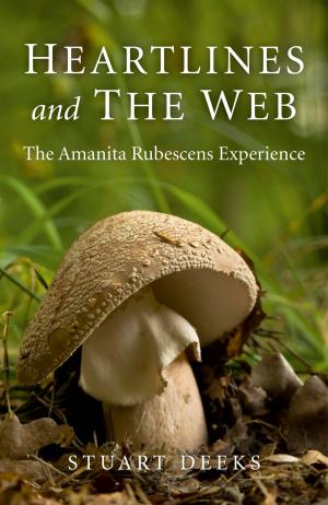 Cover of the book Heartlines and The Web by Andy Tomlinson
