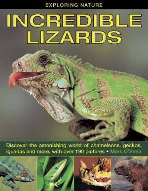 Cover of the book Incredible Lizards by Bridget Jones