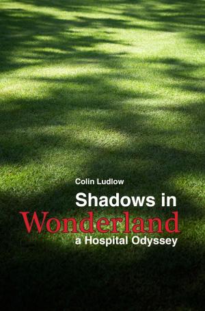 Cover of the book Shadows in Wonderland by Jonathan Herman & Teri Smieja