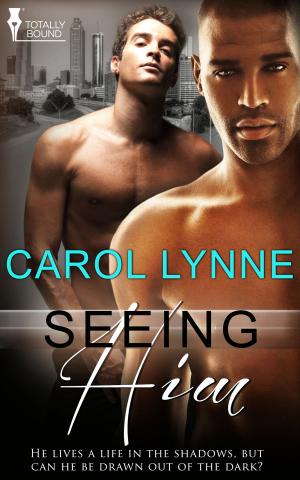 Cover of the book Seeing Him by Samantha Winston