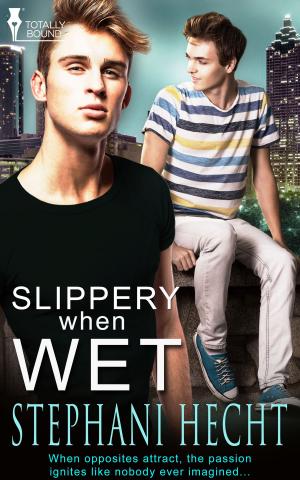 Cover of the book Slippery When Wet by Caitlin Ricci, A.M. Burns