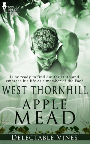 Cover of the book Apple Mead by A.J. Llewellyn
