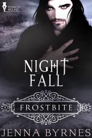 Cover of the book Night Fall by Jaxx Steele