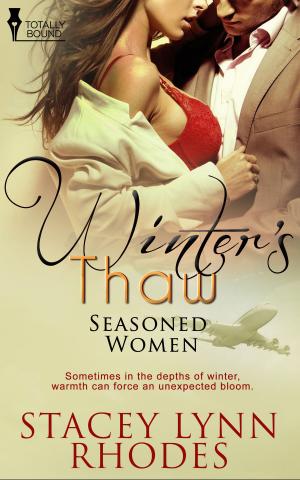 Cover of the book Winter's Thaw by Morticia Knight
