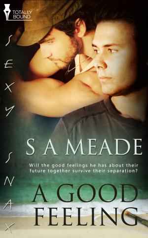 Cover of the book A Good Feeling by Skye Eagleday