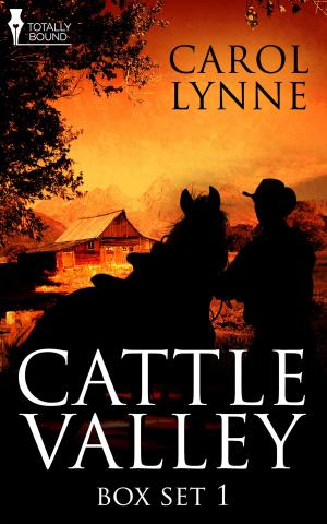 Book cover of Cattle Valley Box Set 1