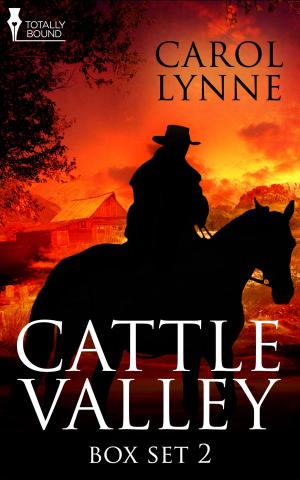 Book cover of Cattle Valley Box Set 2