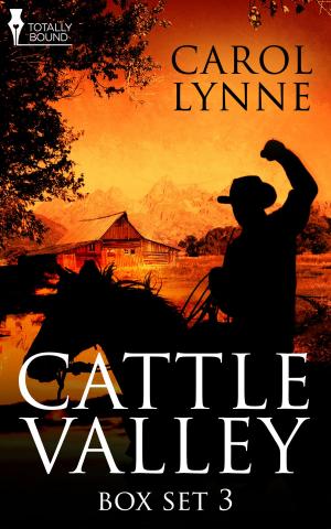 Book cover of Cattle Valley Box Set 3