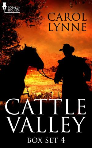 Book cover of Cattle Valley Box Set 4