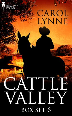Cover of the book Cattle Valley Box Set 6 by L.M. Somerton