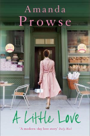 Cover of the book A Little Love by Amanda Prowse