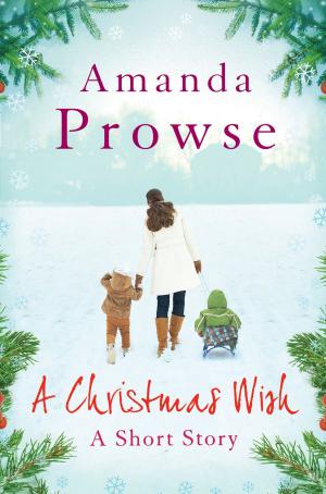 Cover of the book A Christmas Wish by Claudia Carroll