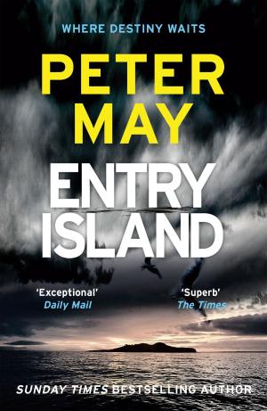 Cover of the book Entry Island by David Rain