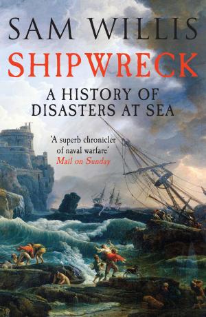 Cover of the book Shipwreck by Per Olov Enquist