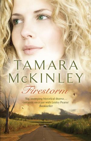 Cover of the book Firestorm by Helen Wattley-Ames