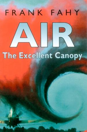 Cover of the book Air by J.J Jensen