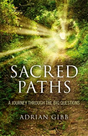 Cover of the book Sacred Paths by Martha Thompson