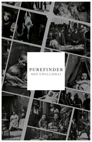 Cover of the book Purefinder by Eva McIntyre