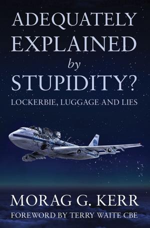 Cover of the book Adequately Explained by Stupidity? by N. Timoleon Amessa