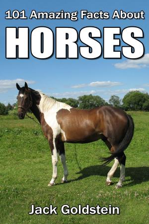 bigCover of the book 101 Amazing Facts about Horses by 